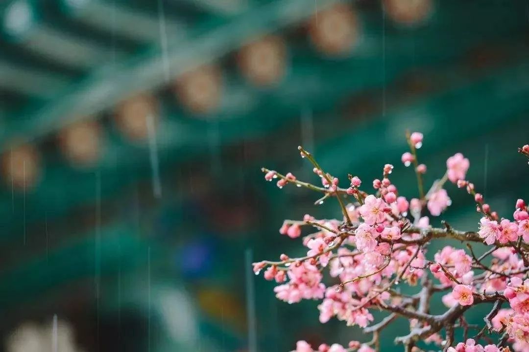 风中有青草的新鲜,有迎春花淡淡的香,还混着泥土的醇,让人陶醉,令人