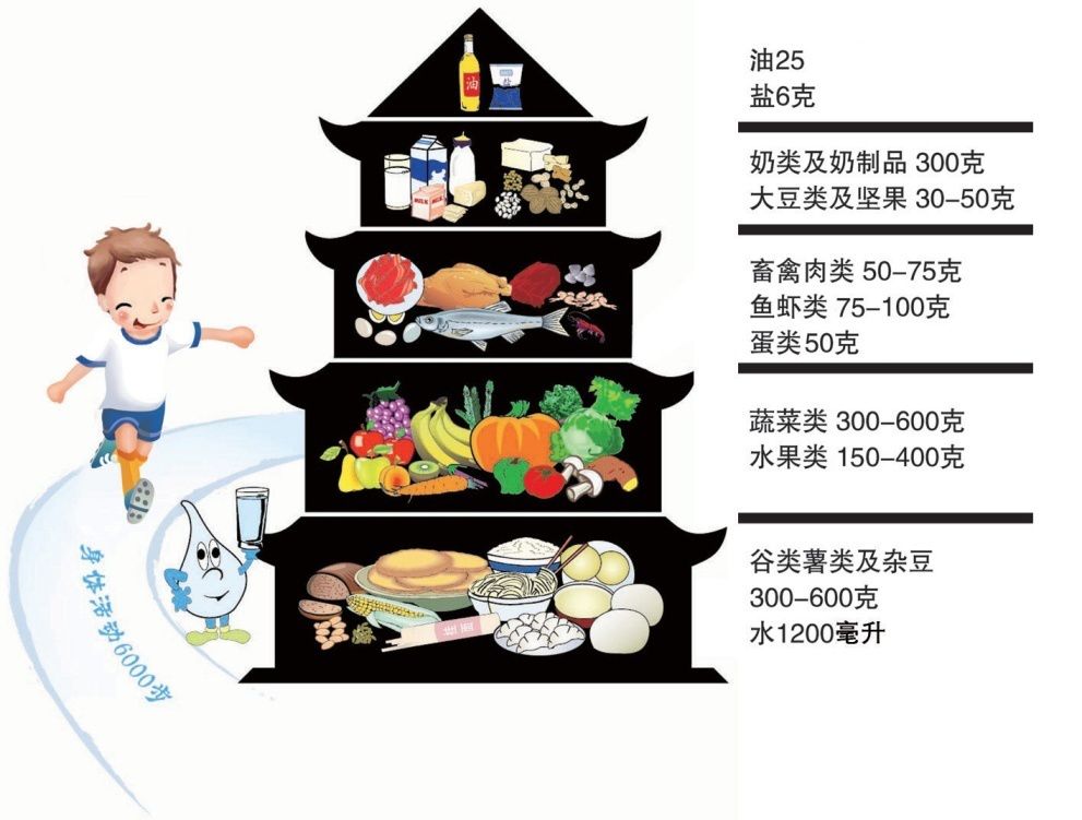 "营养 运动,平衡促健康"— 中小学生健康饮食知识