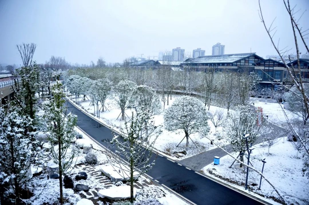 大雪还要袭击汉中今日雪景美如仙境