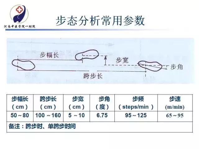 手把手教你步态分析