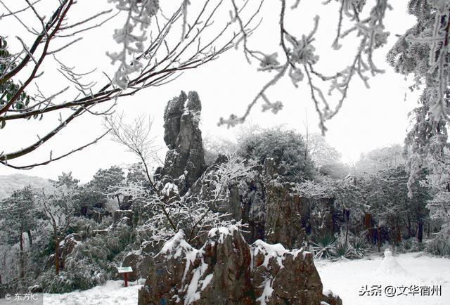 《念奴娇·春雪咏兰》明 陈子龙问天何意,到春深,千里龙山飞雪?