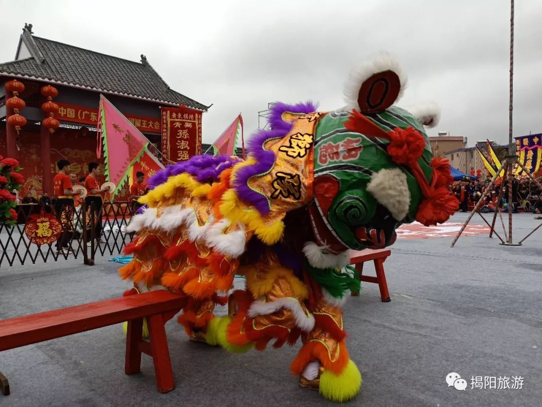 揭阳青狮队勇夺中国狮王大会最高奖——"金狮奖"