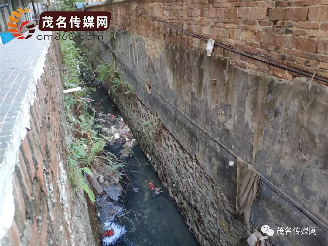 【今日头条】茂名市区有条"百米臭水渠",安全存隐患还