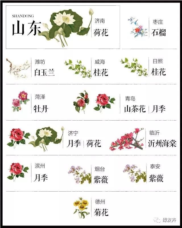 204座城市 · 史上最全中国各城市市花