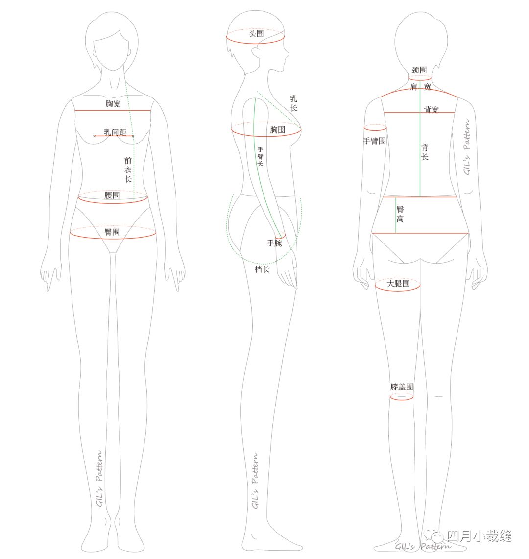 童装,男装,女装的人体尺寸整理