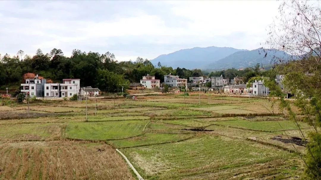 张雨强(紫金县中坝镇北坑村村民):经过自己的努力,还有村扶贫办工作