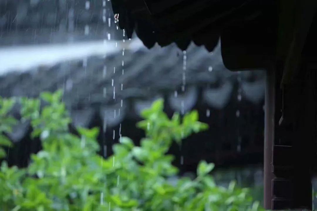 一曲《落雨听禅》自在安宁,净化心灵!