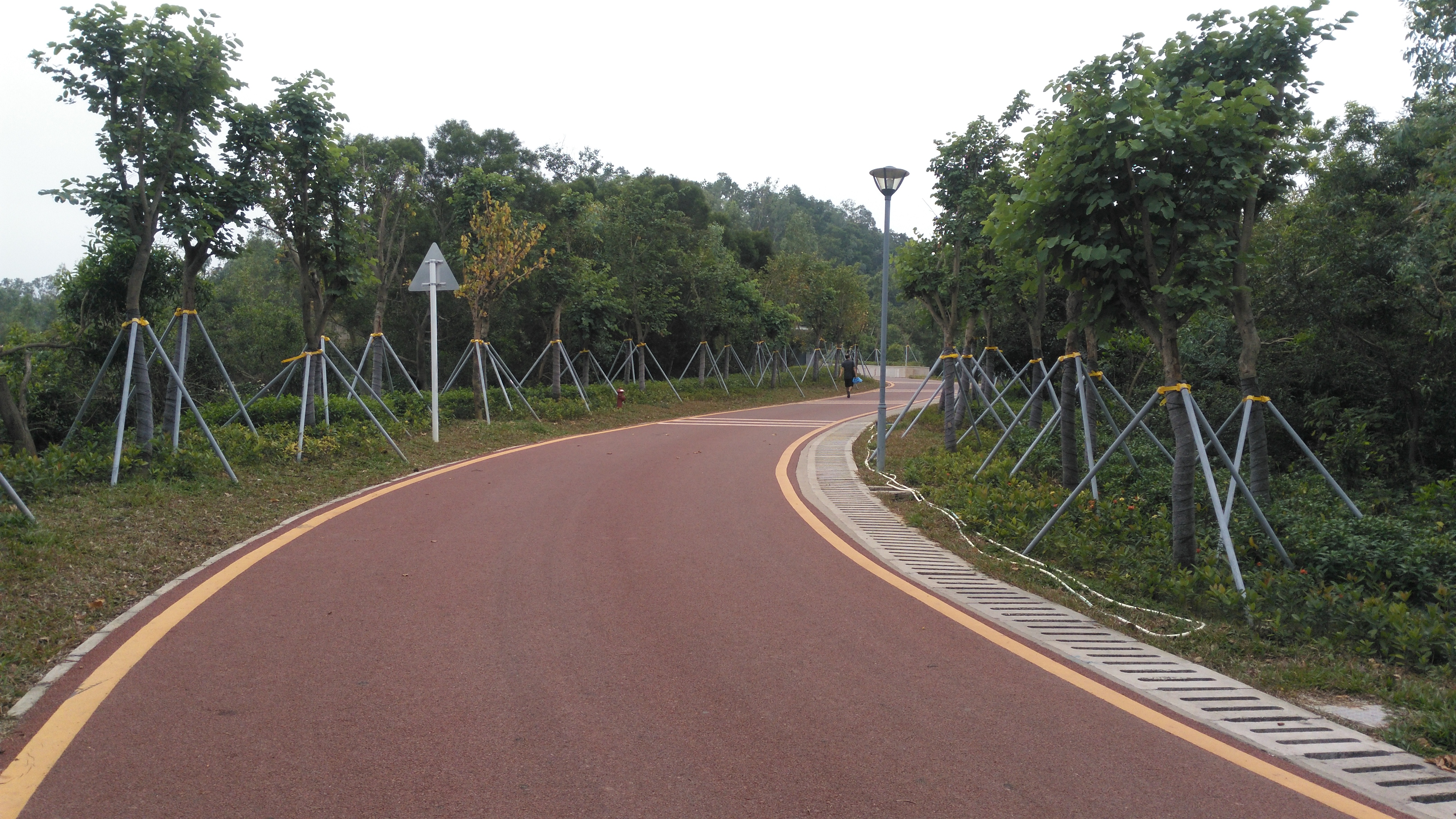 深圳龙岗八仙岭公园你去过吗?新建好的山路更好走了