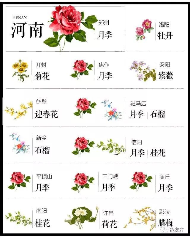 204座城市 · 史上最全中国各城市市花