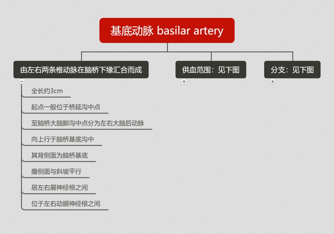 7基底动脉脑桥支的分支及相关临床知识点8基底动脉的分支9大脑后动脉