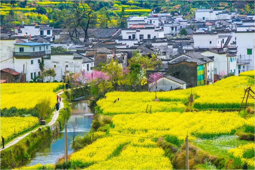 "江南春色"—江南花季|三清山摄影采风,3月报名开启!