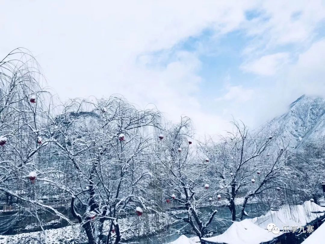 下雪啦!九寨今天的颜值爆表,错过雪景的看这里_四川电视台