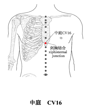 任脉---中庭穴