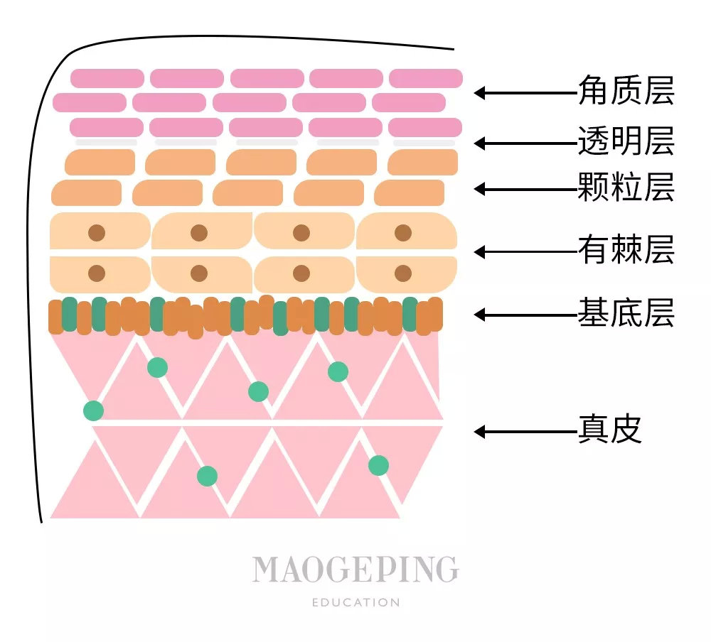 眼沟深怎么办