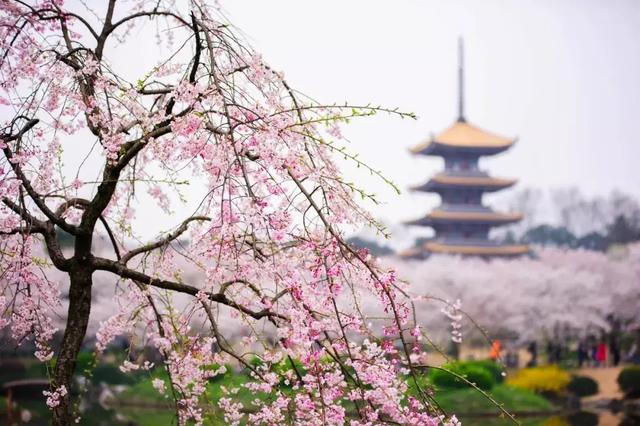 咏春时节，兴城天空晴朗，温暖如春日