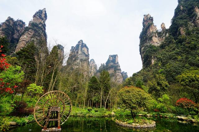 张家界的春天,一大波美景等你欣赏