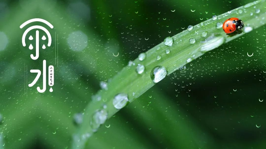 故立春后继之雨水.