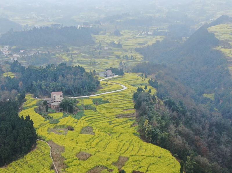 宜宾屏山县中都镇川南最早的春天已经来了