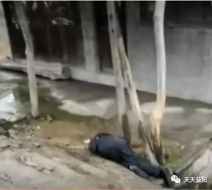 益阳路边发现一具男尸,疑似被车撞身亡!