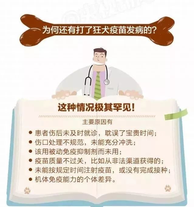 被狗舔完40天后，9岁男孩突然身亡！又是因为狂犬病！这些误区你一定要知道