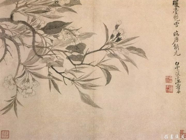 恽寿平235幅没骨花鸟画精品欣赏