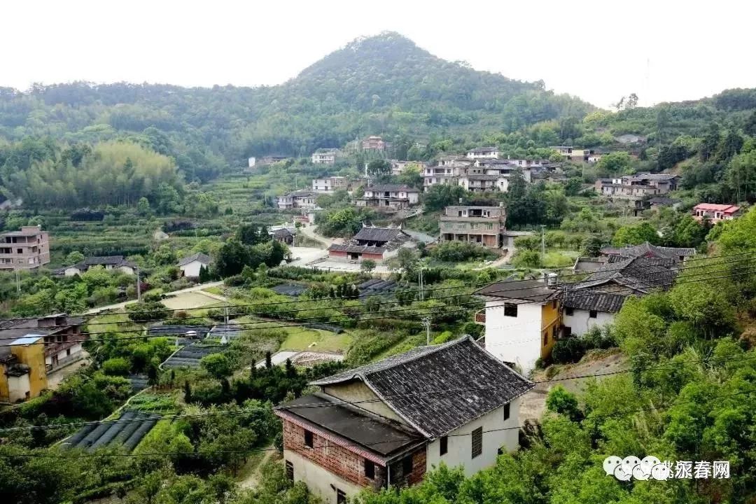 永春这4个村庄拟被命名为"福建省森林村庄"!有你家乡吗?