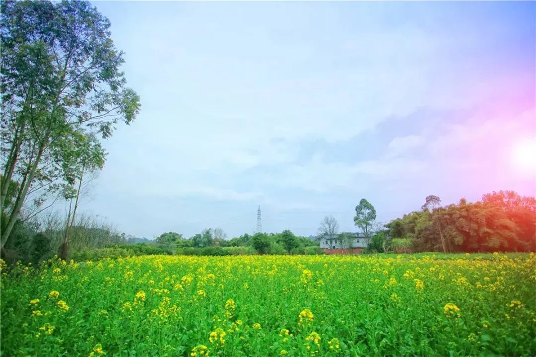 迎着微风,漫步绿道,平静的河面倒映着绿林,宛如行走在浓墨重彩的画卷