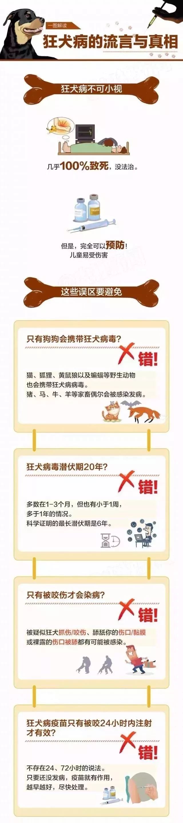 被狗舔完40天后，9岁男孩突然身亡！又是因为狂犬病！这些误区你一定要知道