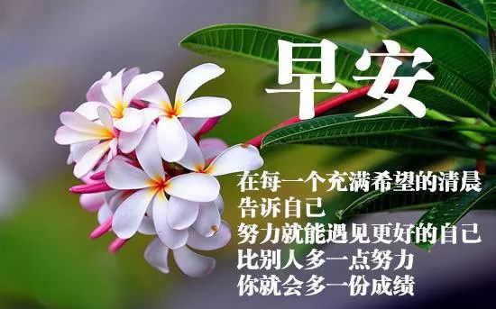 元月十六早上好动态祝福语图片带字 早晨暖心早上好动画表情大全