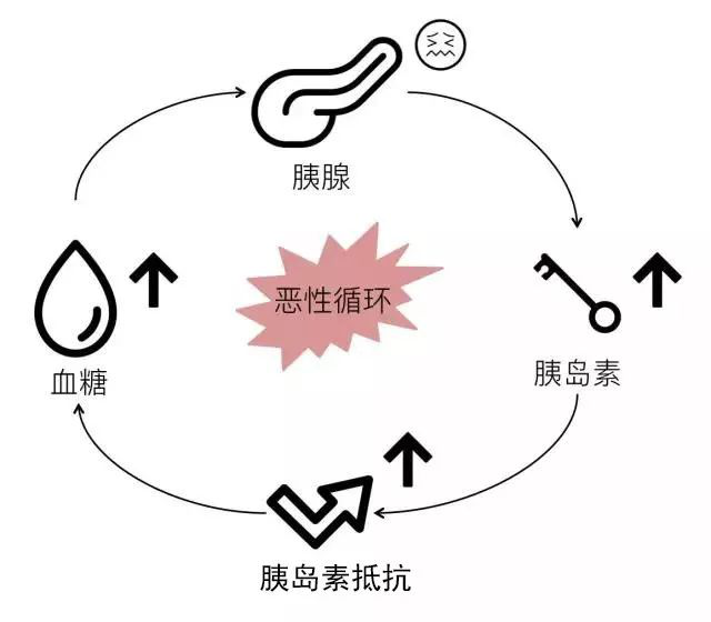 肥胖导致2型糖尿病,胰岛素抵抗在作怪