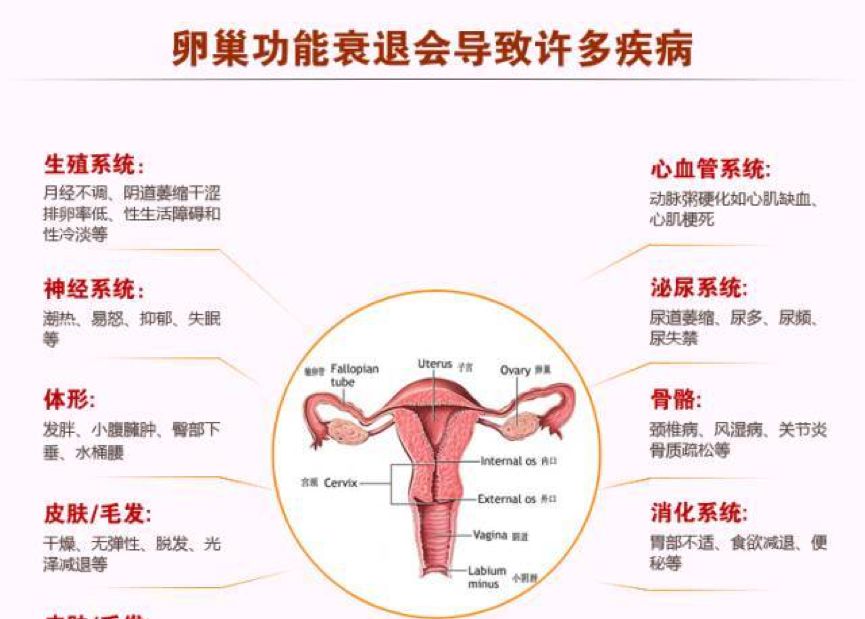 按摩能保养卵巢?还是喝热水更靠谱点