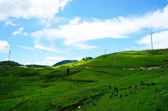 冷门旅游文化:红果树瀑布,中洞苗寨,普者黑村,丘北县舍得草场