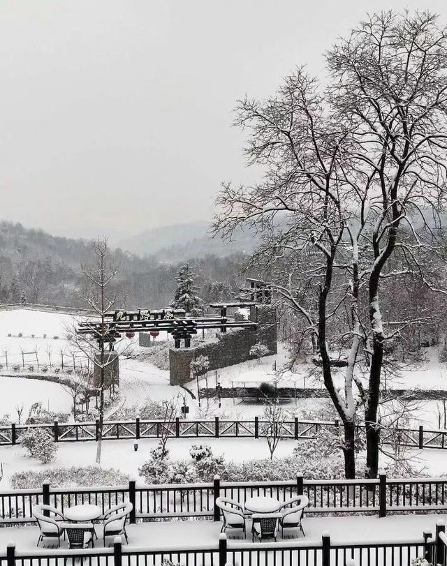 雪后九路寨雪美景更美