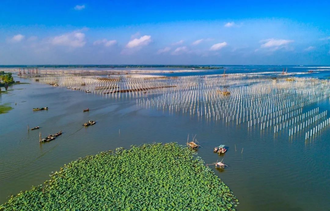 图为泗洪县天岗湖光伏领跑基地.