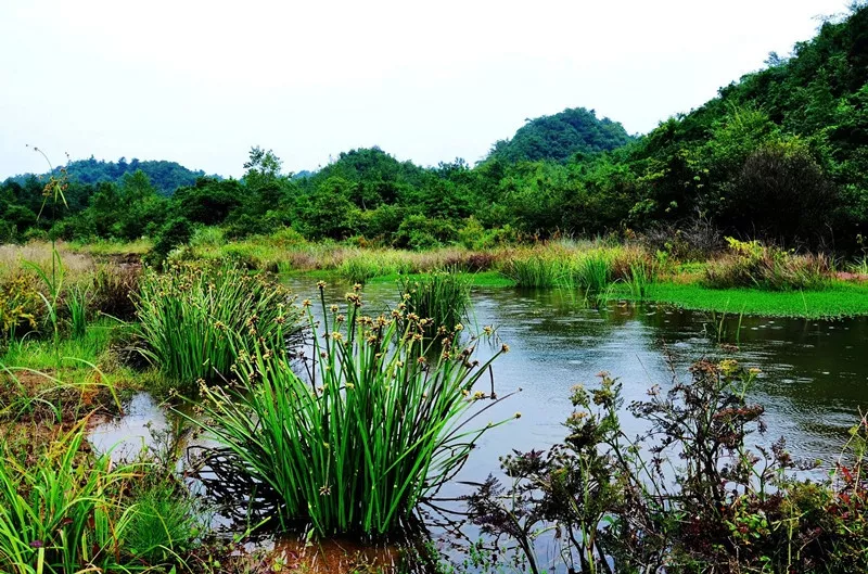 今天起,贵州新增13个国家湿地公园!你去过几个?