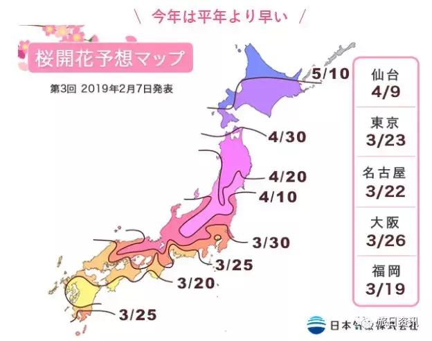 赏樱前线 花开时间 请假攻略 赏樱名所 可以说是非常齐全了 樱花