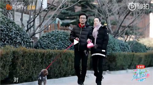 章子怡和汪峰牽手遛狗，一個不經意的小動作亮了 娛樂 第2張