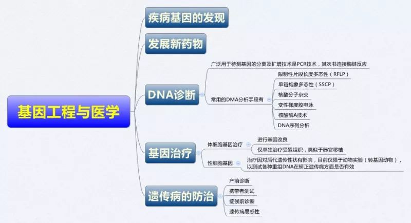 医学生必备生物化学思维导图