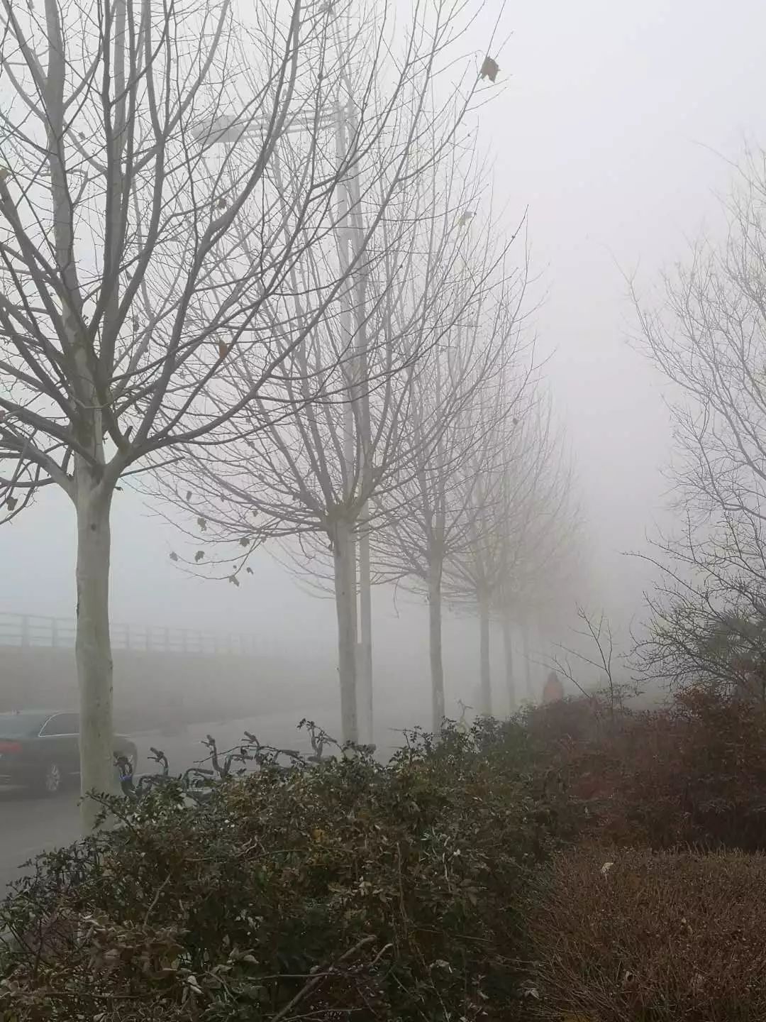 各地的小伙伴们 也发来了大雾即景 郑民高速郑州段↑ 京港澳原阳段