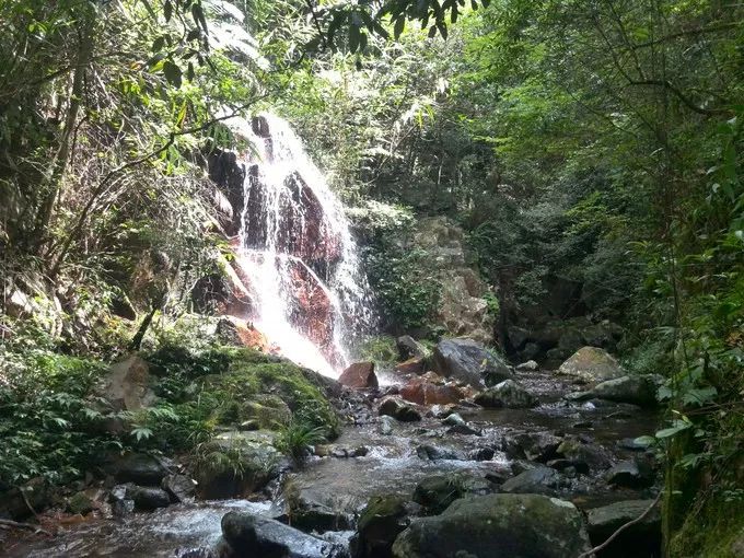 厦门同安云顶山未开发的景区(杉际内)