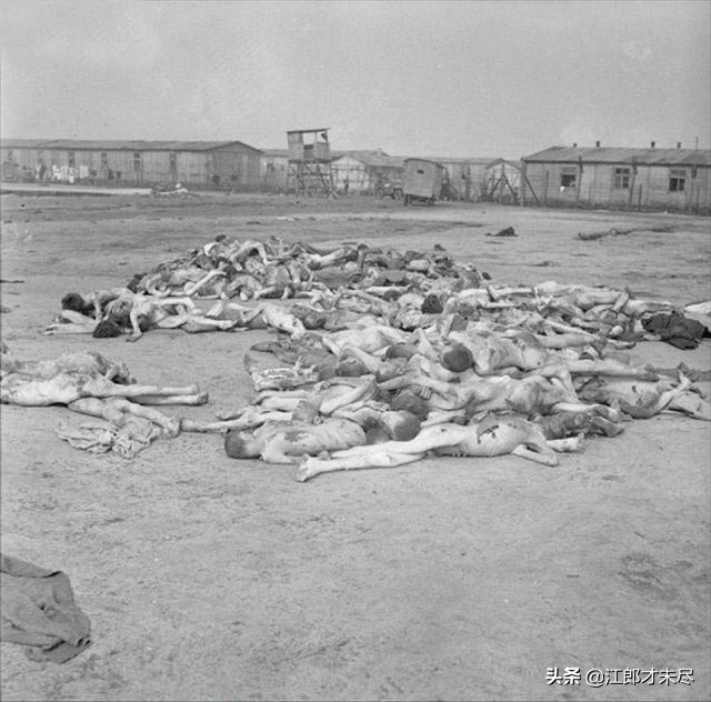 德国纳粹集中营里尸积如山,直接用大型推土机往万人坑