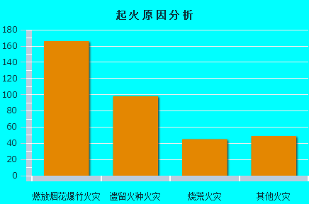 (四)从火灾原因看:燃放烟花爆竹,遗留火种和烧荒为引发火灾的主要原因