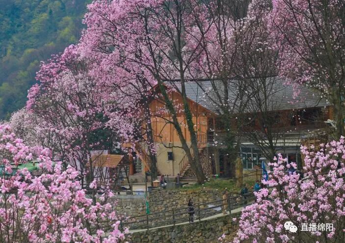 九皇山花溪景