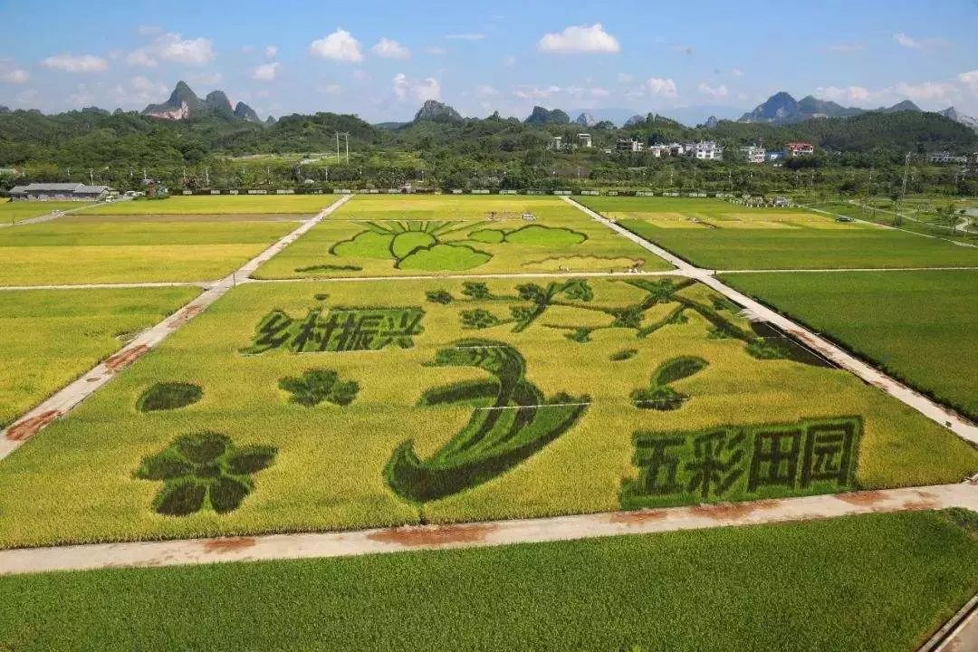 大力发展休闲农业和乡村旅游