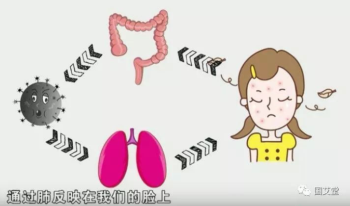 图|肺与大肠相表里,肺主皮毛,大肠毒素通过肺反映在脸上