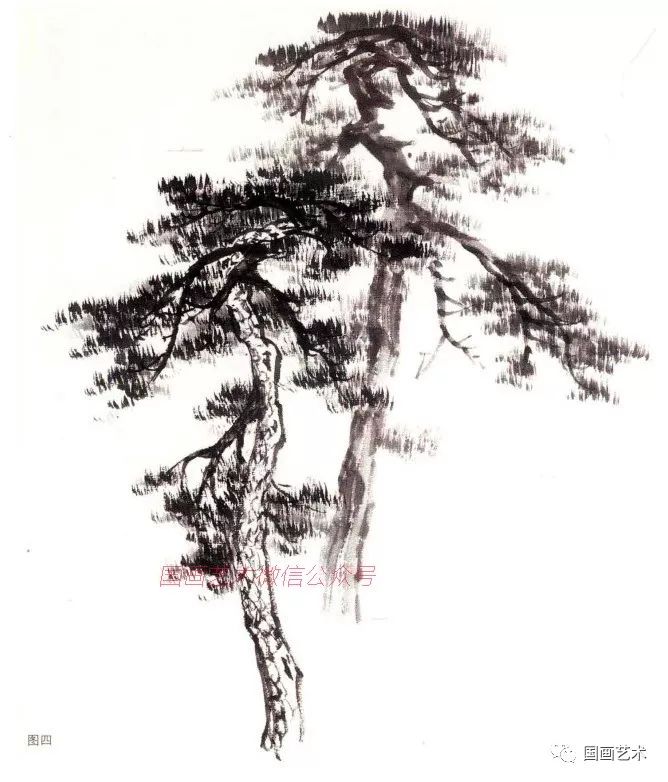 图文教程:松树的写意画法
