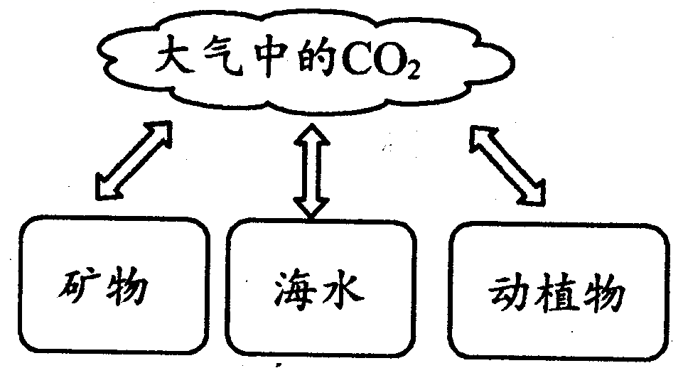 例4)如图是自然界中碳循环的简单示意图,请填空:答案c解析积极开发