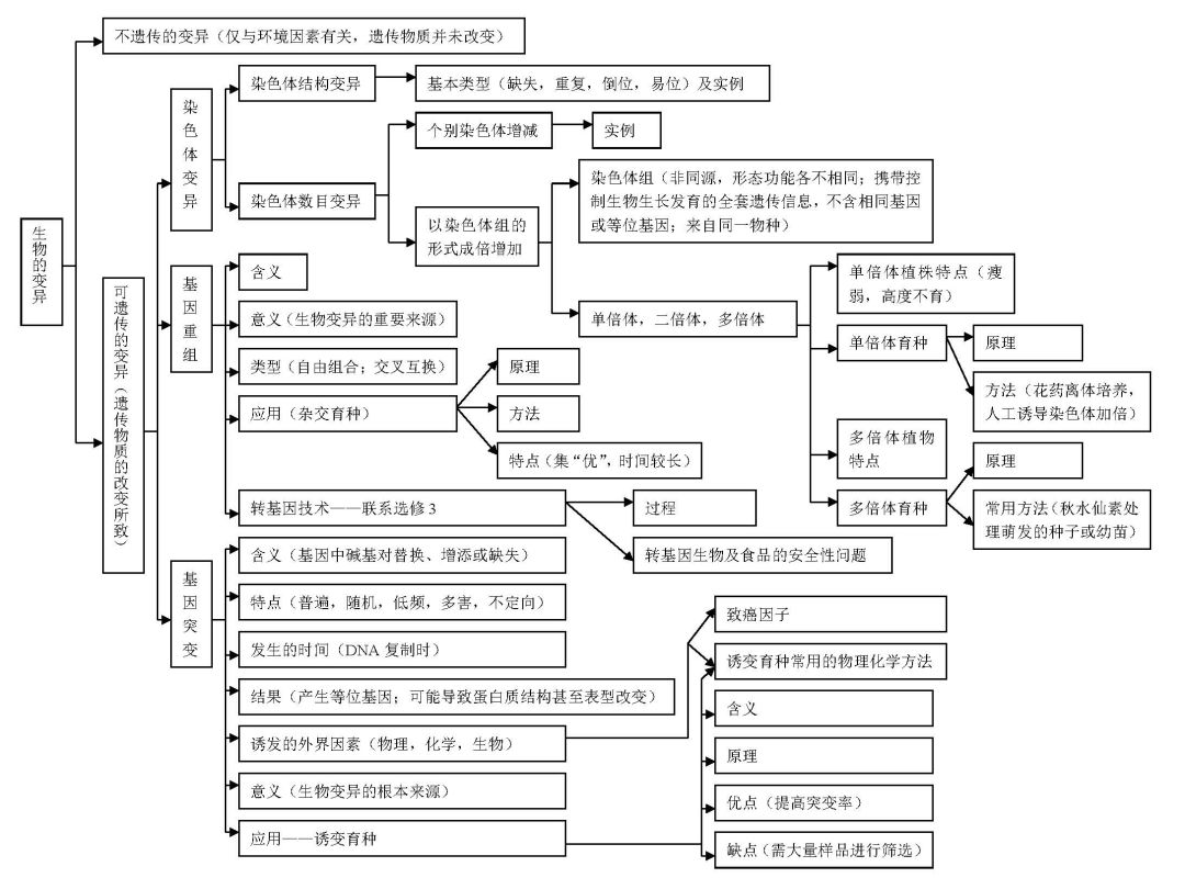 生物的变异