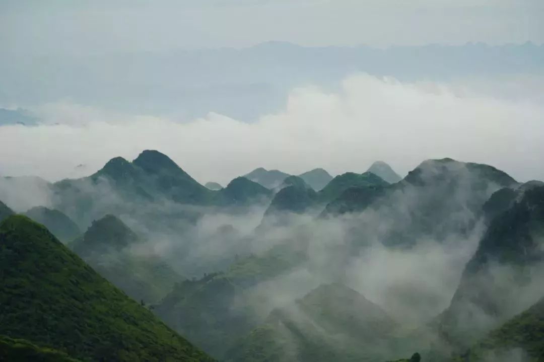 空山新雨后的画面,更是美得不像话