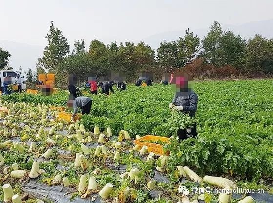 韩国江原道有多少人口_韩国江原道(2)